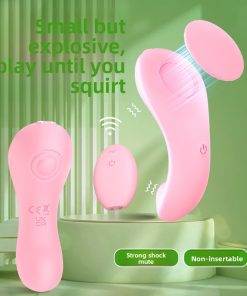 Remote Controlled Pink Panty Vibrator Set