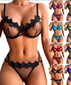 Sheer Lace Lingerie Two-Piece Set